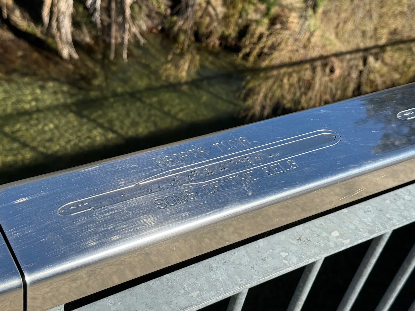 English, Braille and Māori text engraved on a stainless steel handrail. The Braille is engraved along an eel's body.