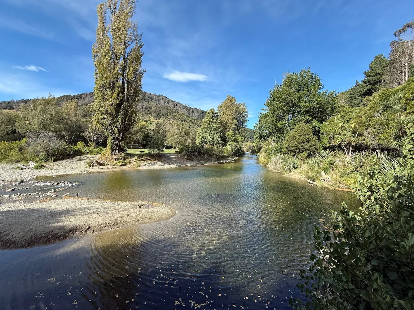 A section of the Mahitahi river with trees in the background.