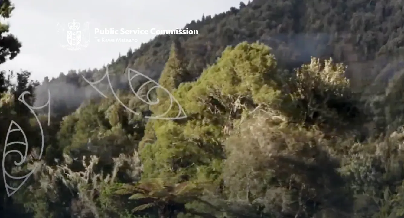 The Public Service Commission homepage. Its white logo nearly disappears against a pale sky in the autoplaying forest video.
